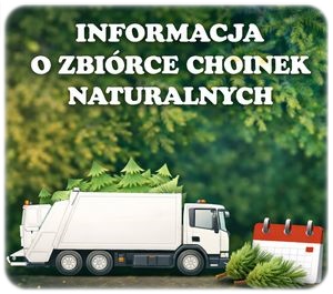 Informacja o zbiórce choinek naturalnych