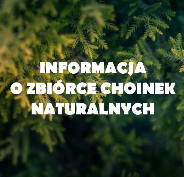 Informacja o zbiórce choinek naturalnych