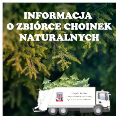 Informacja o zbiórce choinek naturalnych