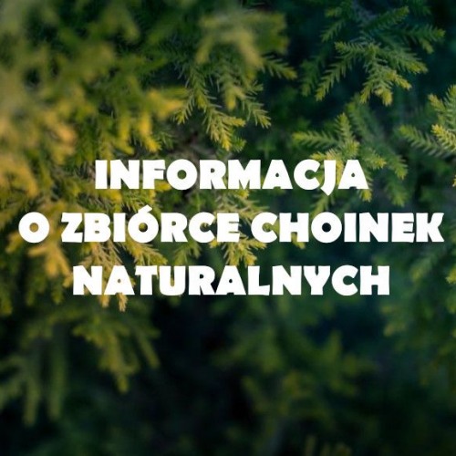 Informacja o zbiórce choinek naturalnych